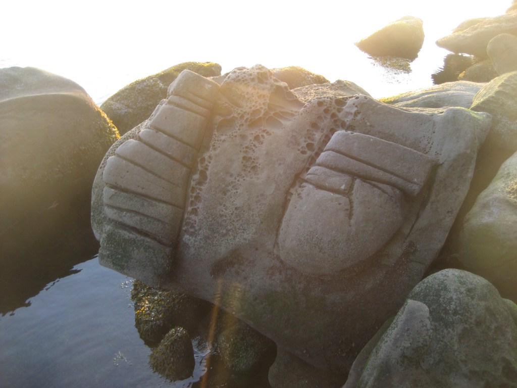 Rocks on the shore of Hornby Island